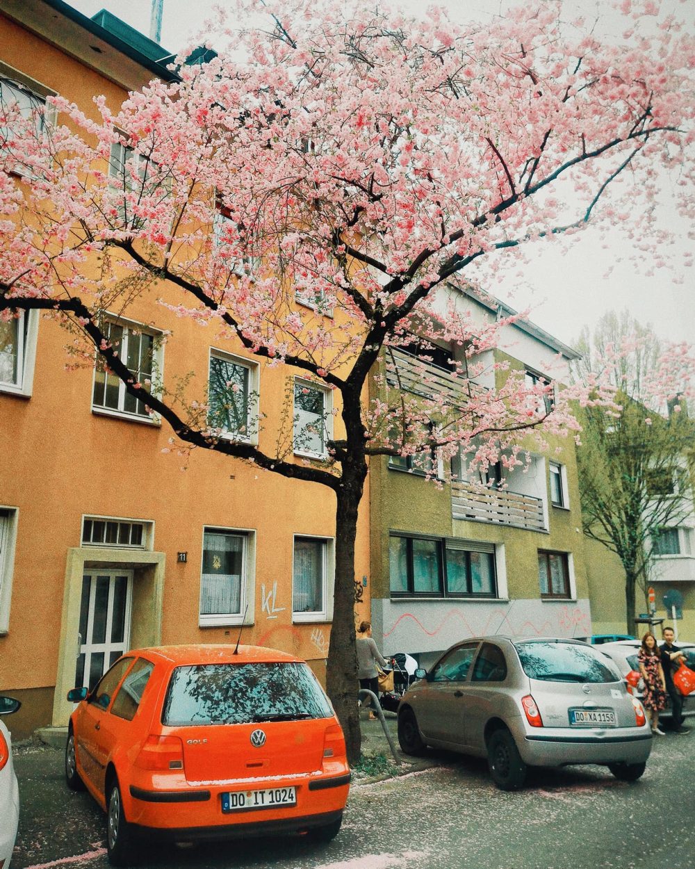 Hết mình vì cuộc đời - Góc nhỏ của Annie