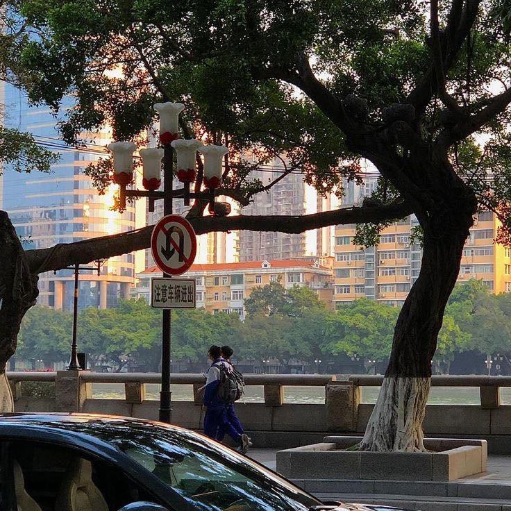 Nỗ lực để không nuối tiếc